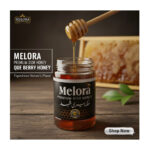 Melora Premium Sidr Honey - ملکہ بیری شہد