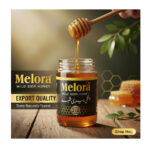 Melora Wild Sidr Honey - جنگلی بیری شہد
